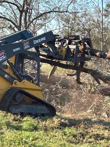 A John Deere skid steer loader lifting tree branches outdoors.