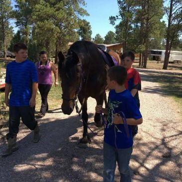 Three boys and a woman with a horse on a sunny day.