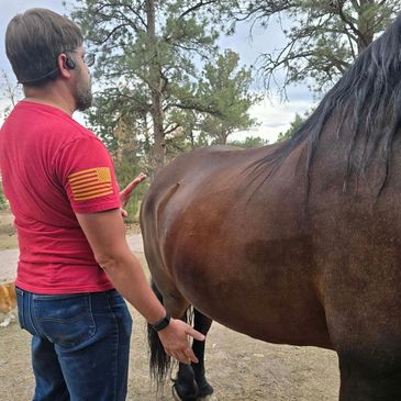 Man standing beside a horse outdoors.