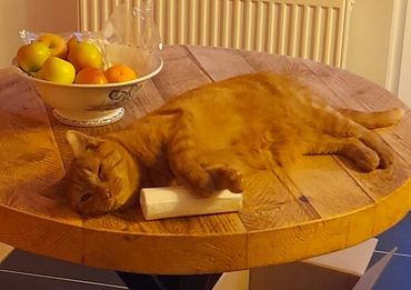 Ginger cat lying on a table.