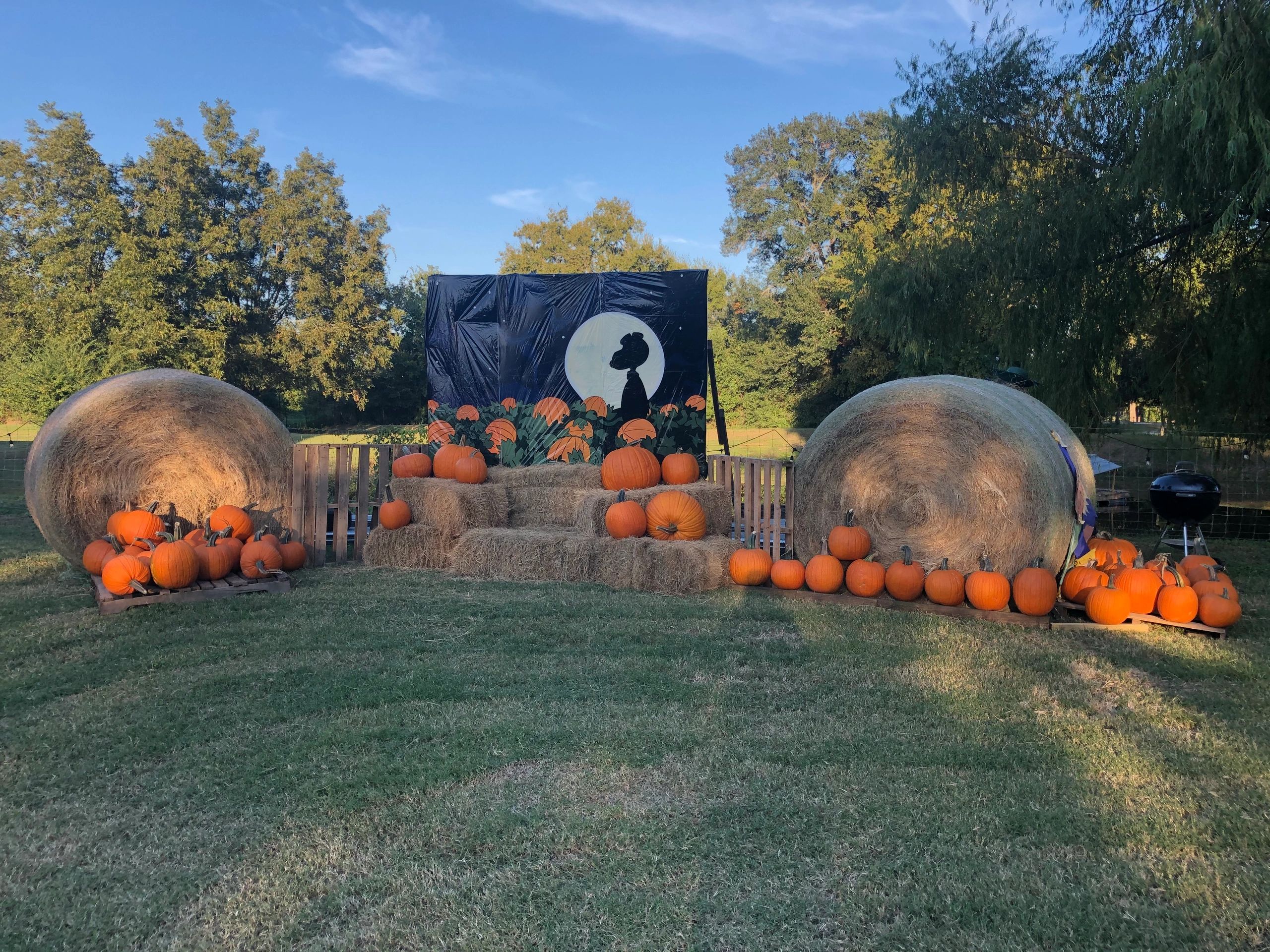 Pumpkin patch at edge general store
Come by for a home style meal and walk through our pumpkin patch