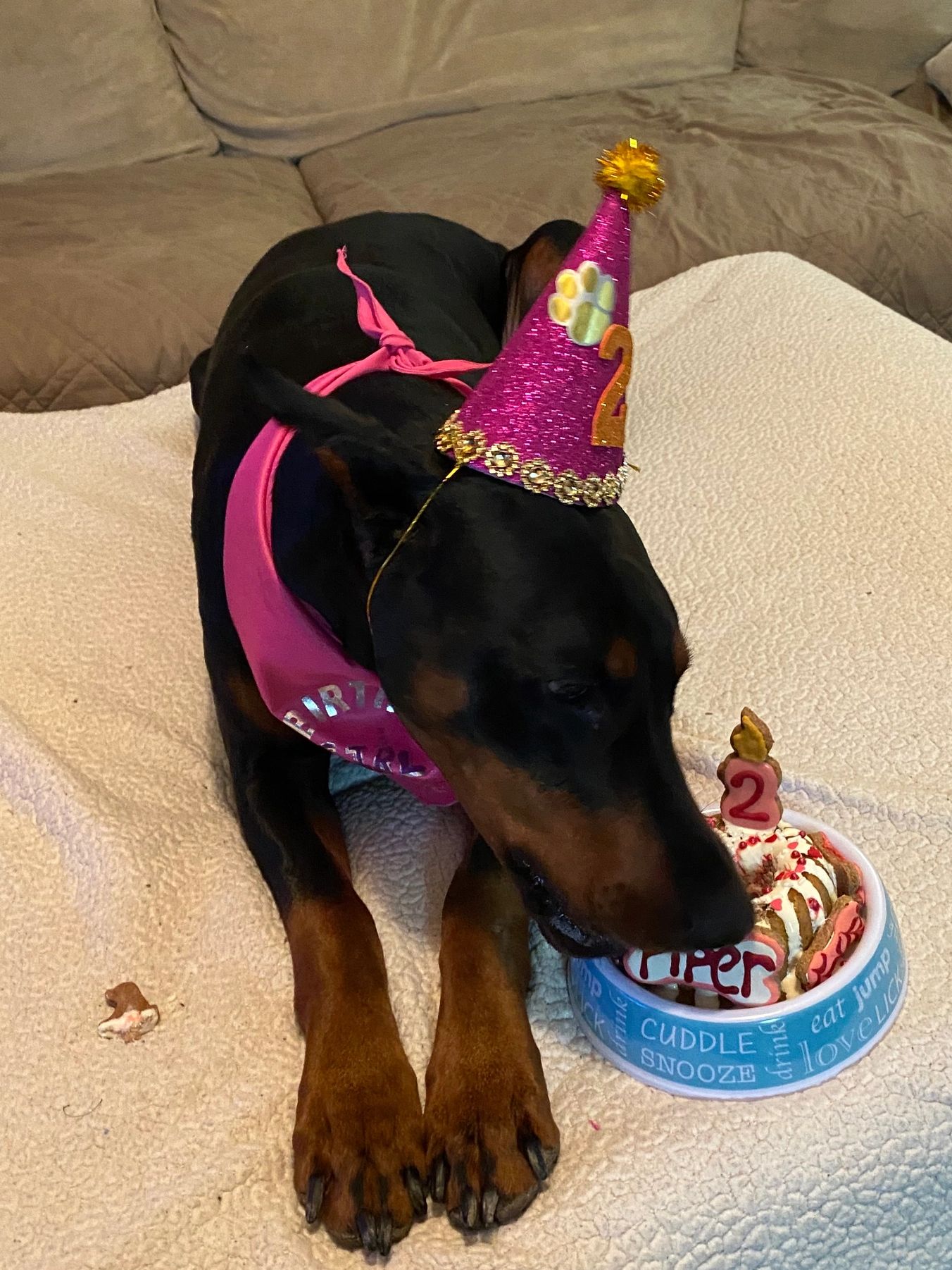 Let’s here it for “Piper”! She turned 2 years old today!! 🐶🎂🎉🥳 Piper got to enjoy a delicious Ba