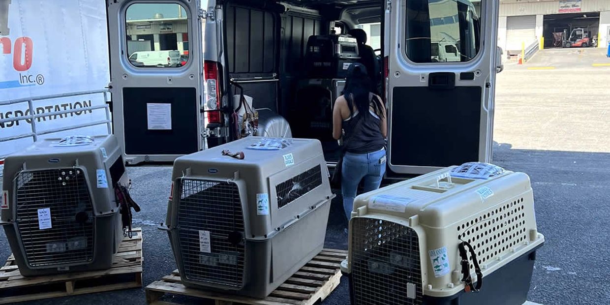 Woman loading pet carriers into a van at a loading dock.