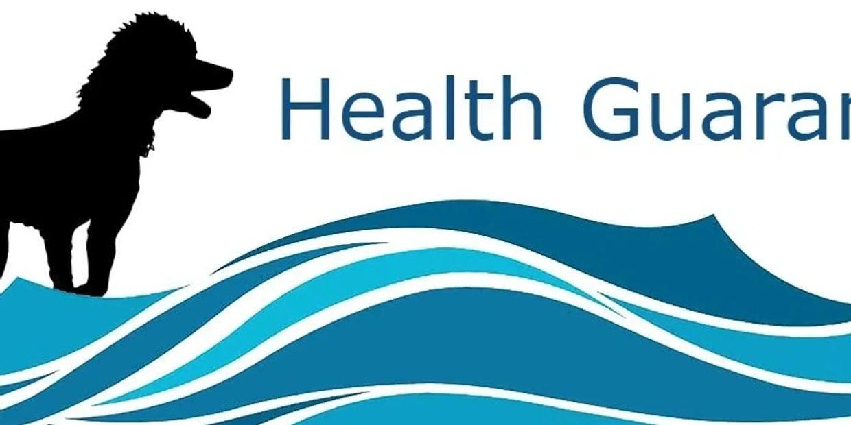 Silhouette of a poodle with blue waves and partial text 'Health Guaran'