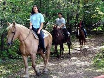 Horseback riding in the jungle
