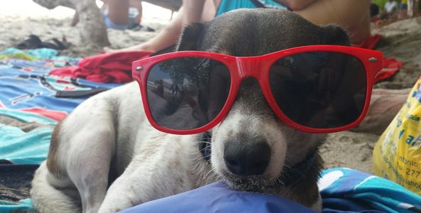 fun and relaxing on the beach