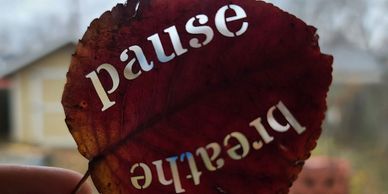 A leaf with the words pause and breathe cut into it with a laser held up in front of a backyard.
