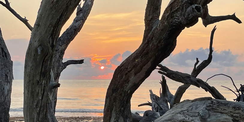 Sunset on Wooded Beach. Copyright 2021 Yasmin Tirado-Chiodini