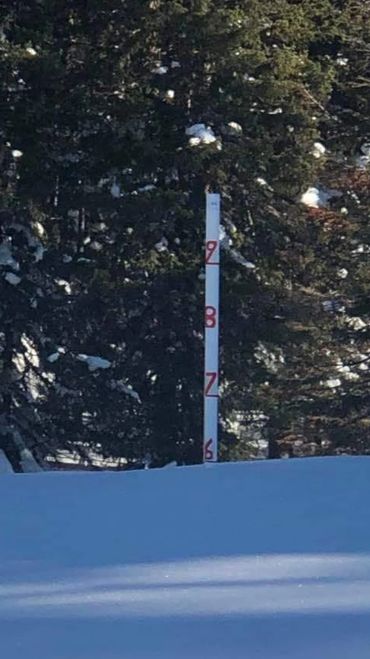 Grand Mesa Snow Stick Jan 2022. Photo Credit Monica Bruton