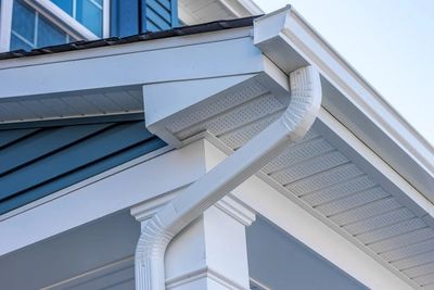 Home with seamless gutters