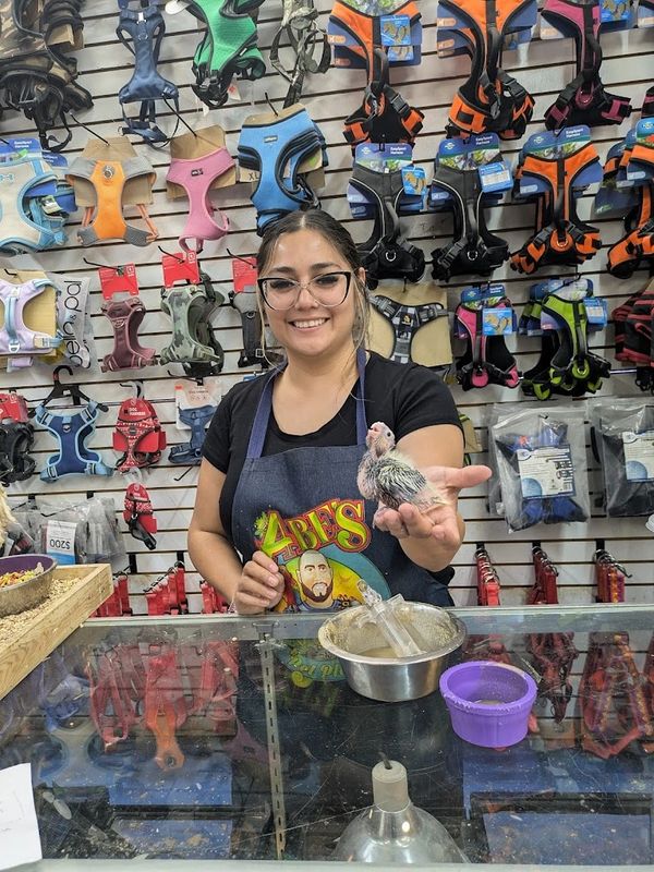 A smiling woman in a pet store holding a baby bird with pet harnesses on the wall.
