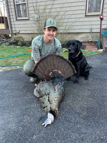 Guided turkey Hunting in Maine