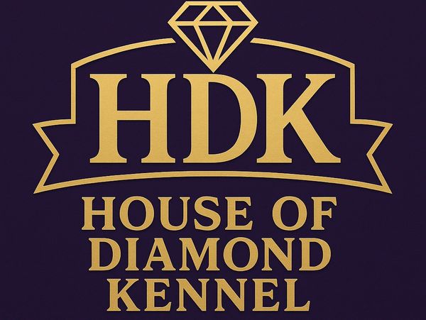 Elegant gold logo for House of Diamond Kennel on dark background.