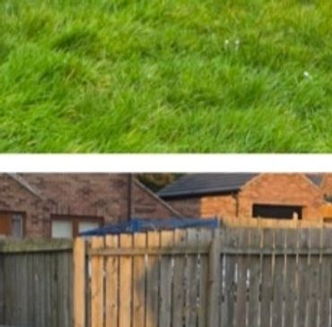 Garden clearance preparing an untidy backyard for regular upkeep