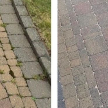 Garden maintenance with trimmed hedges and tidy green lawn areas