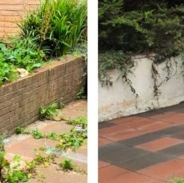 Lawn care work keeping grass at an even height across a front garden