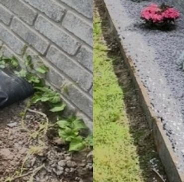 Regular garden maintenance to keep outdoor spaces looking tidy
