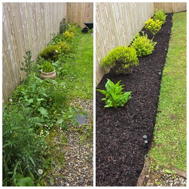 Garden maintenance including lawn mowing and tidying garden borders
