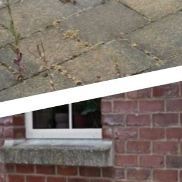 Lawn edging along a garden path for a clean and tidy finish