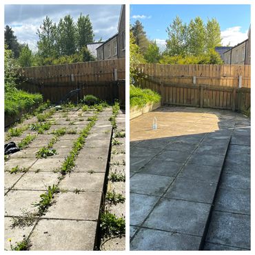 Before and after cleaning weeds from a backyard patio with a fence and trees.