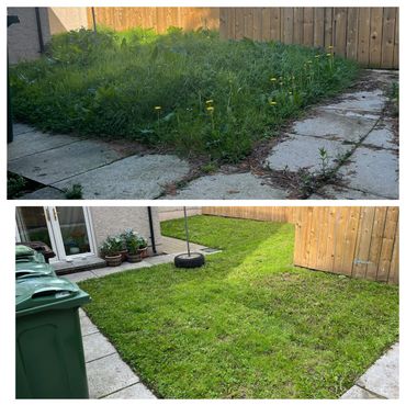 Before and after images of a backyard lawn showing overgrown grass and a neatly mowed lawn.