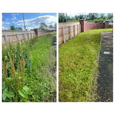 Before and after photos of a backyard lawn, overgrown and then neatly mowed.