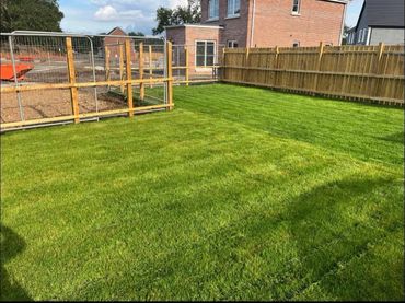 Freshly laid green lawn in a fenced backyard near houses.
