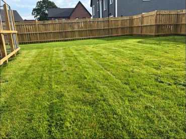 Freshly mowed green backyard with wooden fencing around.