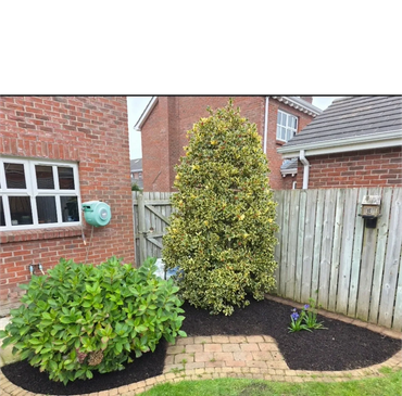 Neatly cut grass edges beside paving stones in a landscaped garden