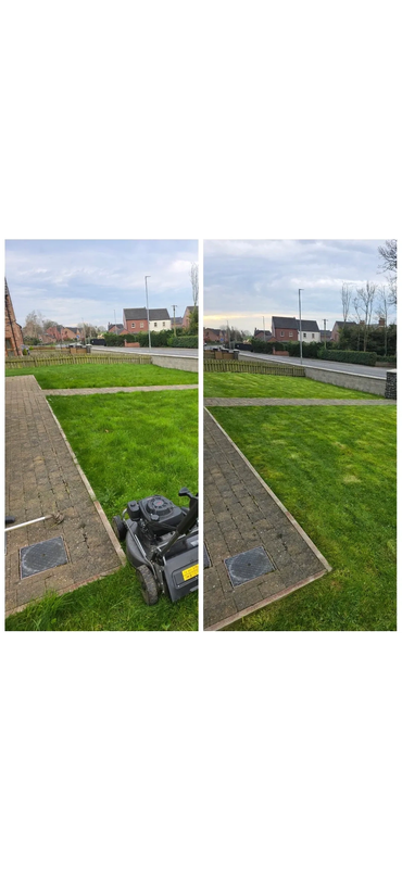 Garden maintenance with trimmed hedges and tidy green lawn areas
