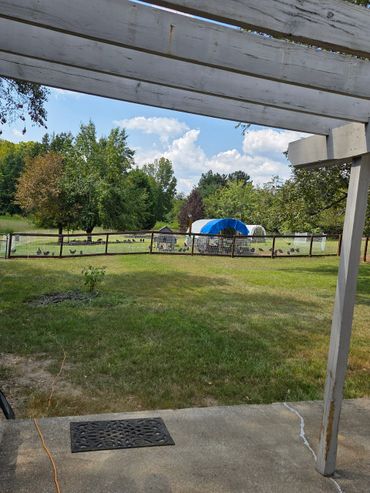 A fenced farmyard with a blue-covered chicken coop and green trees under a partly cloudy sky.