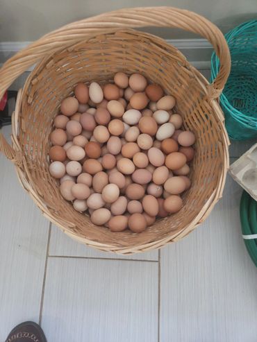 A wicker basket filled with various brown and beige eggs.