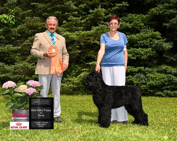 Woman with a black dog wins Best Baby Puppy in Show.
