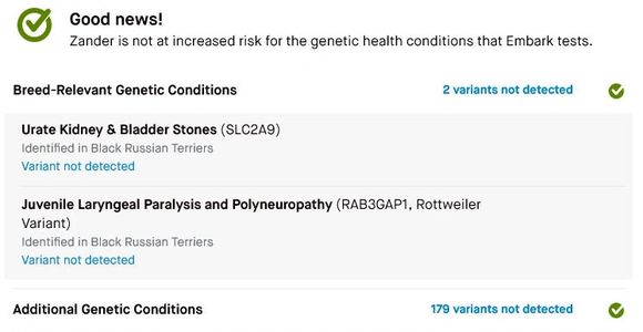 Zander is Clear for all offered genetic conditions