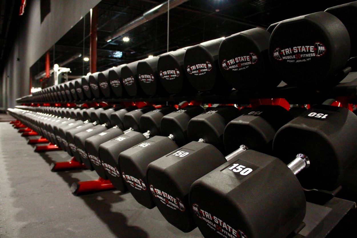 Rows of heavy dumbbells in a gym.