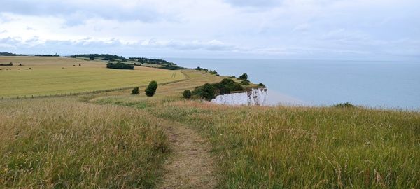 White Cliffs of Dover. Looking back to Kingsdown. Saxon Shore Way. England Coastal Path.