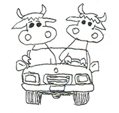 Grass Fed Beef, Organic Beef, Local Beef For Sale in Connecticut, Rhode Island, Massachusetts