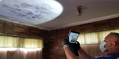 Mold found in home, inspected by home inspector - Allegiance Residential Inspections of Texas