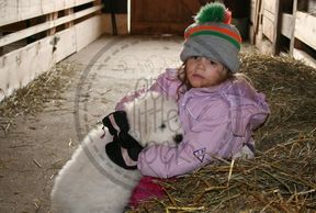 Baby Taylor sitting with Baby Bruce in the barn