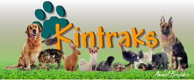Kintraks Animal Breeding software