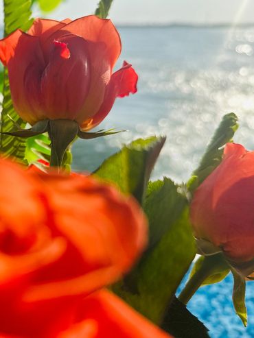 Flowers for themed party anniversary special