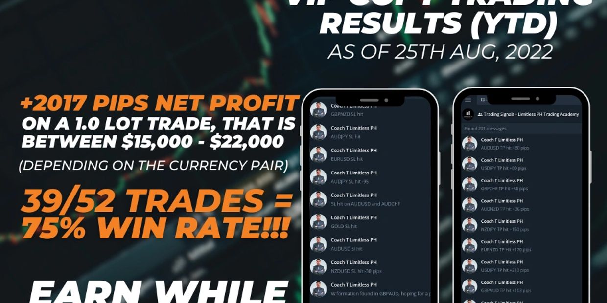 Forex trading results showing 75% win rate and over 2017 pips net profit in 2022.