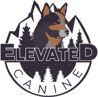 Elevated Canine