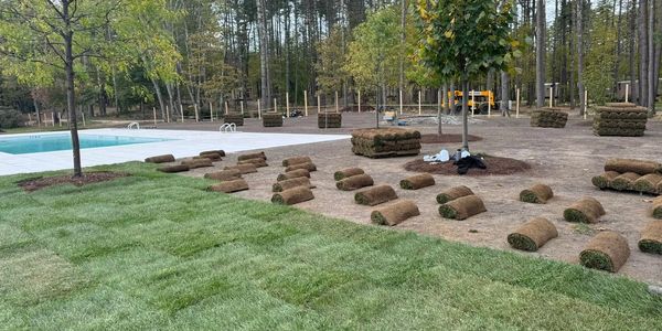 Fresh sod rolls being installed around a pool, with stacks of turf in a wooded backyard.