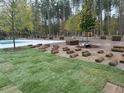 sod installation