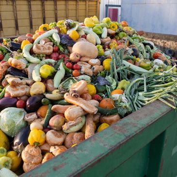 A large dumpster filled with discarded vegetables and bread.