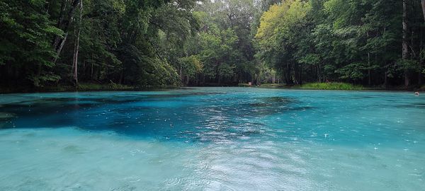 Rain in March, at the Ruth B. Kirby Gilchrist Blue Springs State Park.