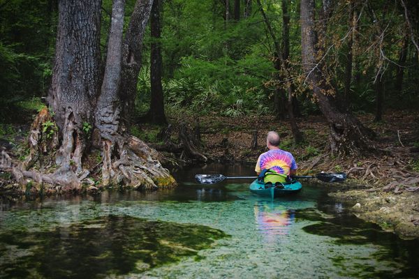Kayaking hidden gems of the Santa Fe river near High Springs, FL.