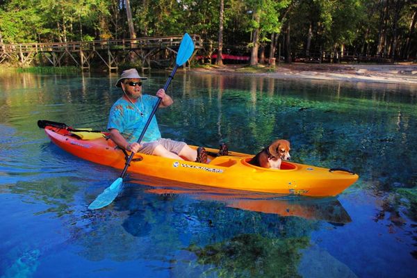 Kayaking Blue Springs with dog as guests of Rum 138