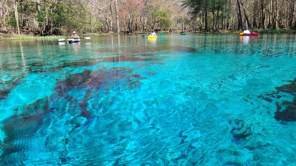 blue springs kayaking